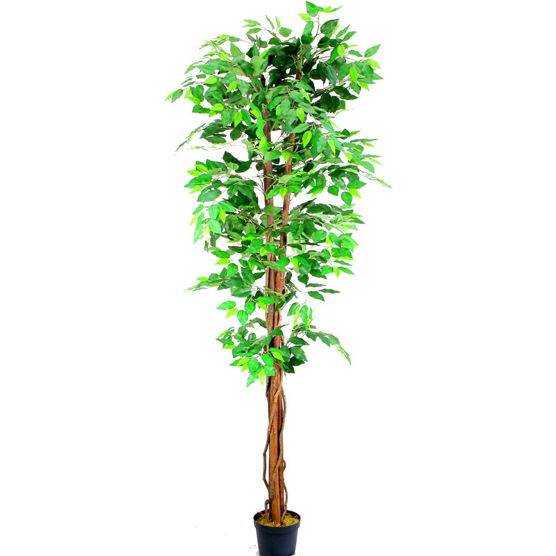 Arbre ficus de plancher artificiel en pot