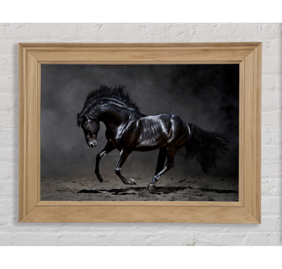 Black Beauty Horse - Einzelner Bilderrahmen Kunstdrucke