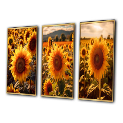 Tournesol doré au coucher du soleil - ensemble de 3 impressions