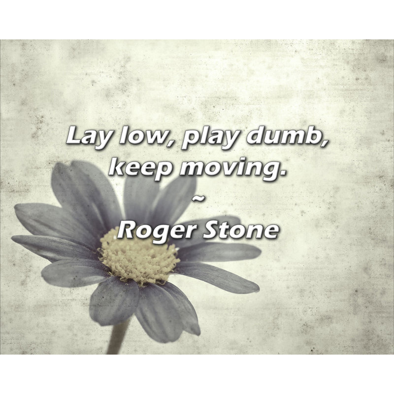 Citation artistique «Allongez-vous, jouez bêtement, continuez à bouger.» Toile tendue par Roger Stone, H 28 po x l 40 po