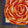 Aloha  Floral Multicolor Indoor/Outdoor Area Rug