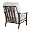 Coco Cushioned Lounge Chair w/One Accent Pillow