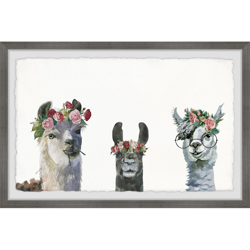 Reproduction encadrée de lamas couronnés de fleurs Fryda, H 20 po x l 30 po x P 1,5 po