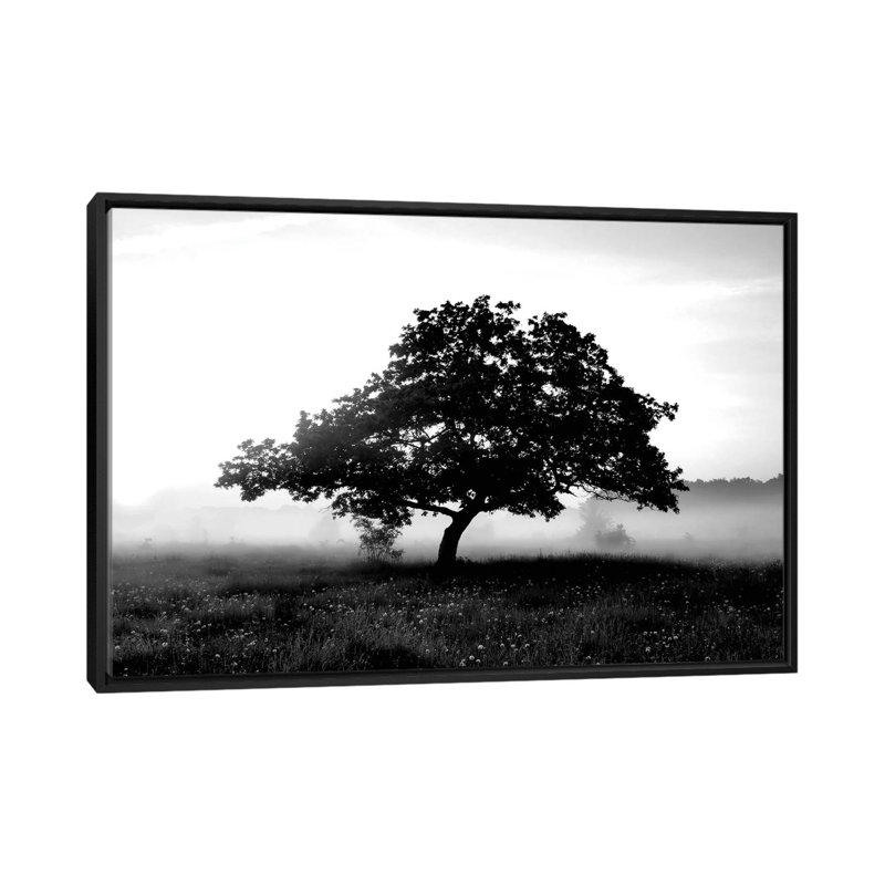 «Solenn Tree» par PhotoINC Studio, reproduction d'art sur toile tendue, H 8 po x l 18 po x P 26 po, Toile encadrée noire
