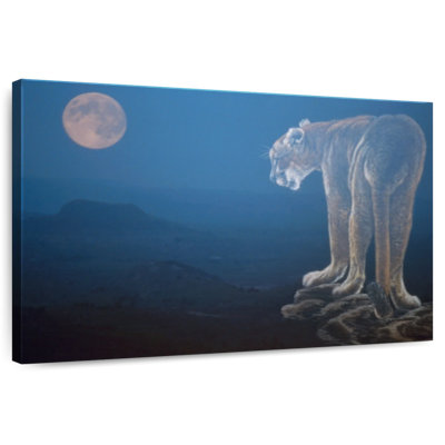 Cougar Scène de nuit