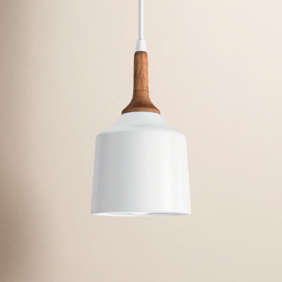 Edmar Single Light Metal Steel Pendant