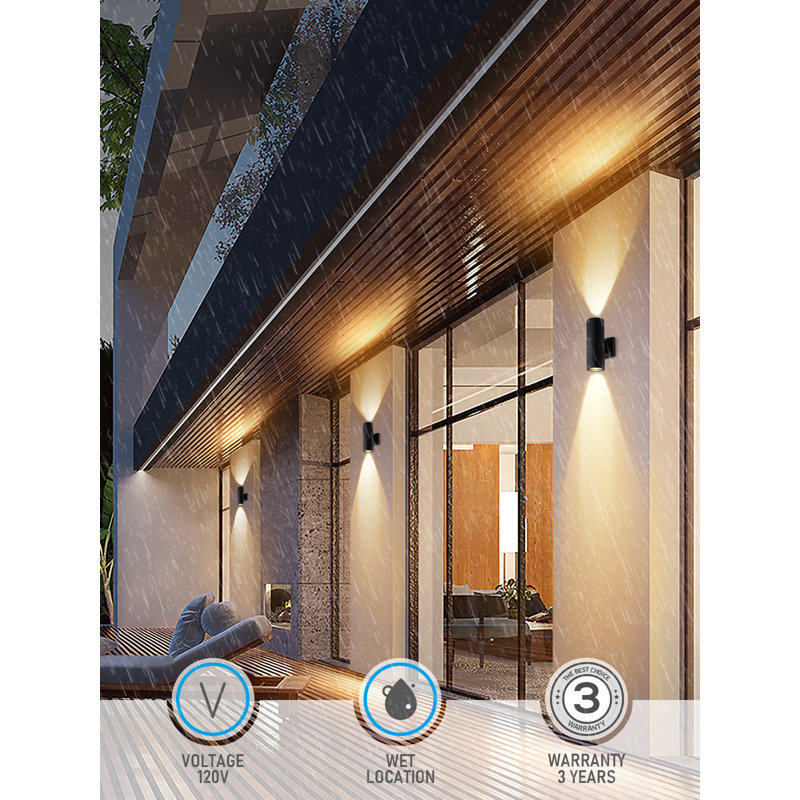1-Light Wall Sconce