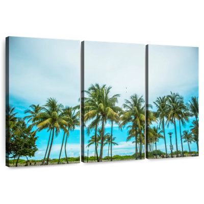 Cocotiers Gillard, Floride