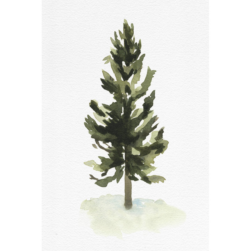 «Watercolor Pine I» par Emma Caroline - peinture sur toile tendue, H 48 po x l 32 po