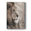 Leo - Cavas enveloppés de galerie-1397141483