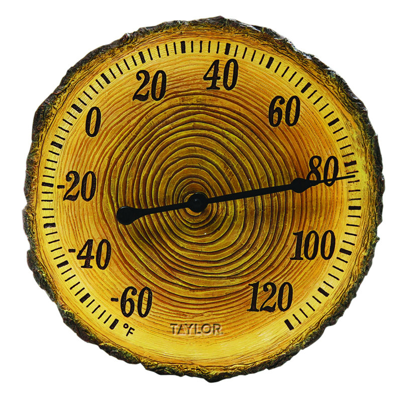 Taylor Tree Trunk Cross Section Polystone Thermometer