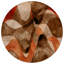 Tapis d'intérieur rond 8 po