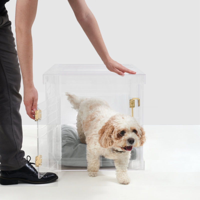 Medium Clear View Pet Crate with Silver Latch, Khaki Cushion, Charcoal, Gold, 22"H x 20"W x 30"D