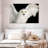Brampt White Owl-107685928