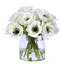 Poppy In Cylinder Glass-36623162