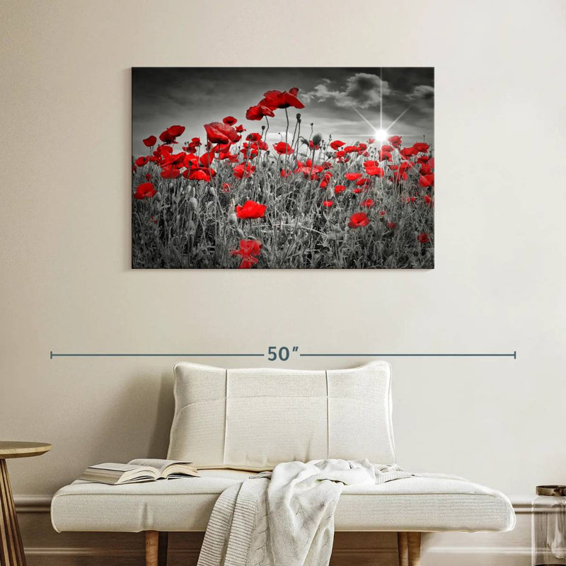 Harnek Red Poppies Pop, H 26 po x l 39 po