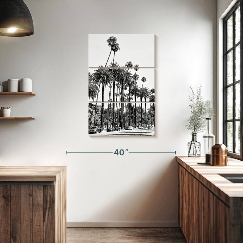 Palmiers de Sireci, Californie, Californie, H 38 po x l 24 po