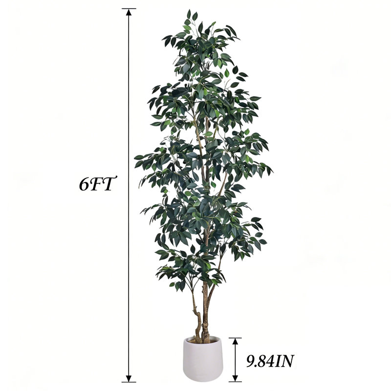 Faux Ficus Tree in Pot, 180.3 cm x 22.4 cm