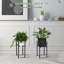 Support pour plante Cartert