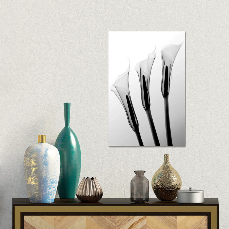 Hong Pham - Print on Canvas, 30.48 cm H x 45.72 cm W, Wrapped Canvas
