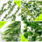 Laroya Artificial Hanging Plants Hanging Plant