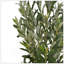 Olive artificielle avec pot-1631018582