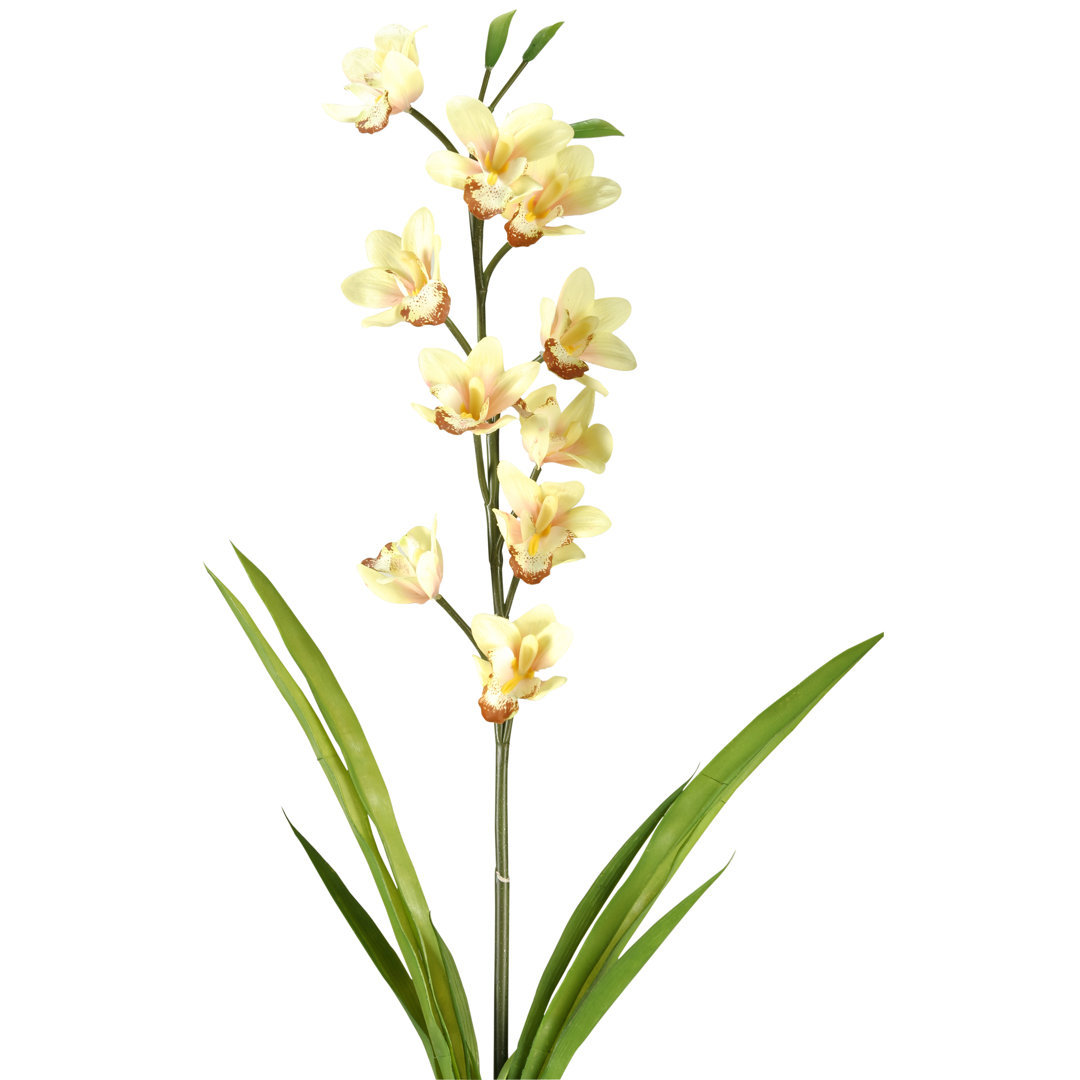 Orchid Arrangement (Set of 3) Mercer41