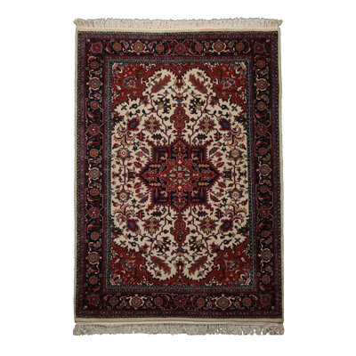 Tapis en laine noué à la main 6 x 9 Herrija