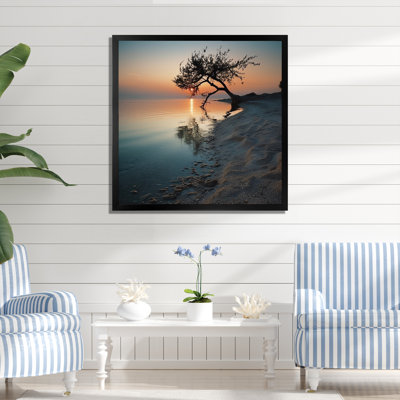 " Coastal Tree Panorama "