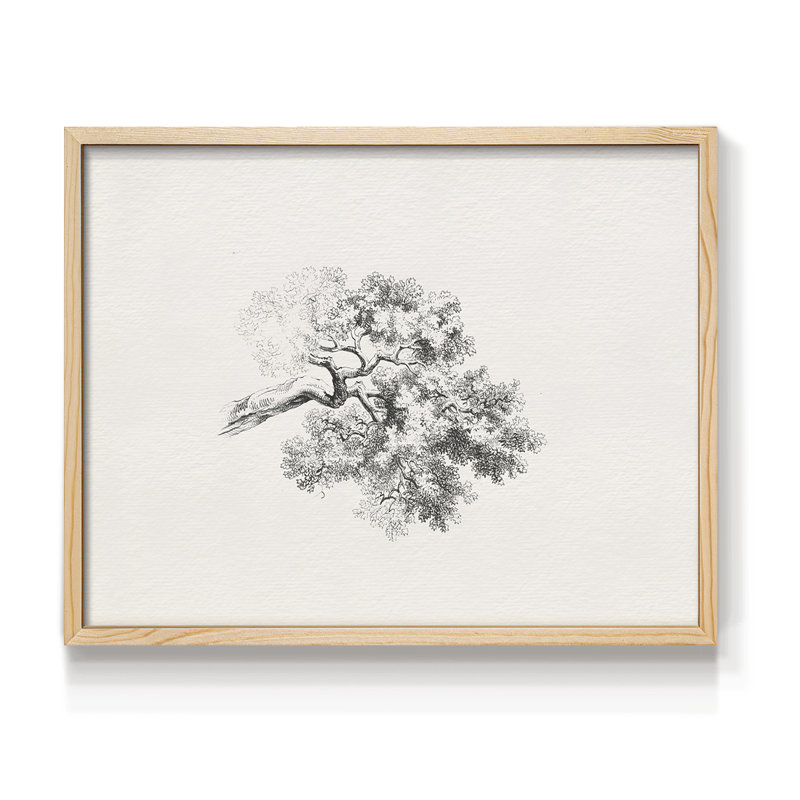 Croquis rétro - III - Reproduction encadrée - Restickable, H 11 po x l 14 po, Naturel