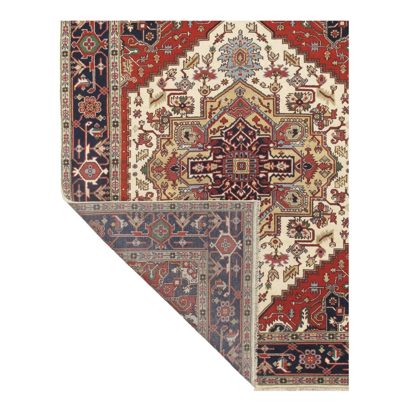Oriental Area Rug in Ivory