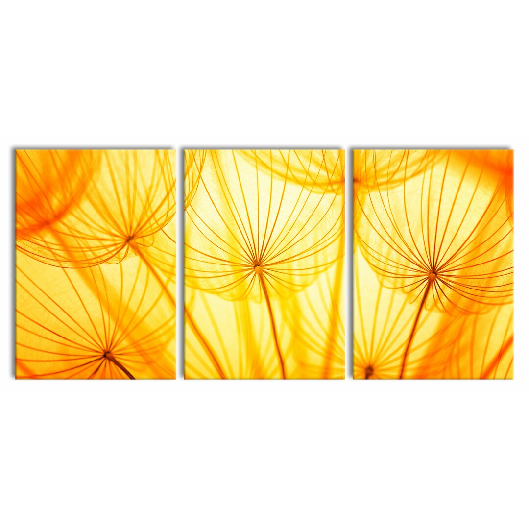 3-tlg. Leinwandbilder-Set Pusteblumen oranges Licht