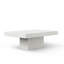 Kareen Single Coffee Table-778849762