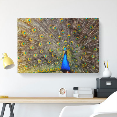 Peacock Vol.1 - Wrapped Canvas