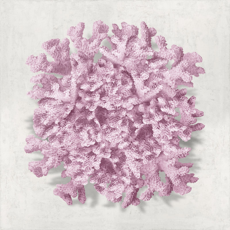 Coral Blush II by Caroline Kelly - Wrapped Canvas Print, 30cm H x 30cm W