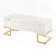 Luxueux banc de rangement en velours et en acier avec un design capitonné, parfait pour la décoration moderne et les sièges supplémentaires.-2121321291