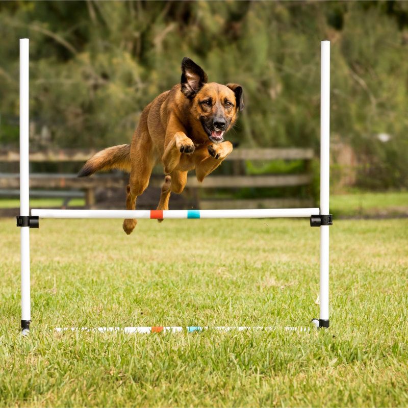 Adjustable White Plastic Dog Agility Bar Jump
