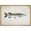 Illustration nautique de tacheté tacheté, photos de salon bord de mer, impression sur toile encadrée et giclée sur toile.-223046410-223046453