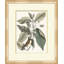 Summer Bird 4 Print