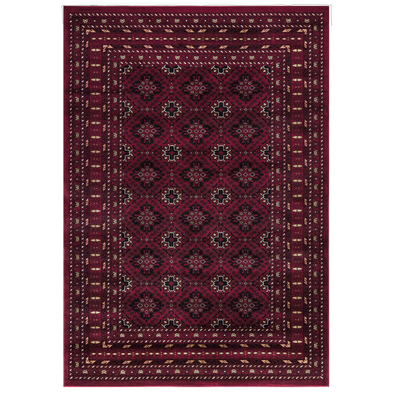 Carmencita Oriental Area Rug, Rectangle 80 x 150cm