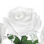 Rosier artificiel ouvert-577452967
