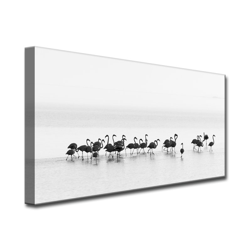 « flamant roses »-reproduction de photo sur toile tendue, H 12 po x l 24 po x P 1,5 po
