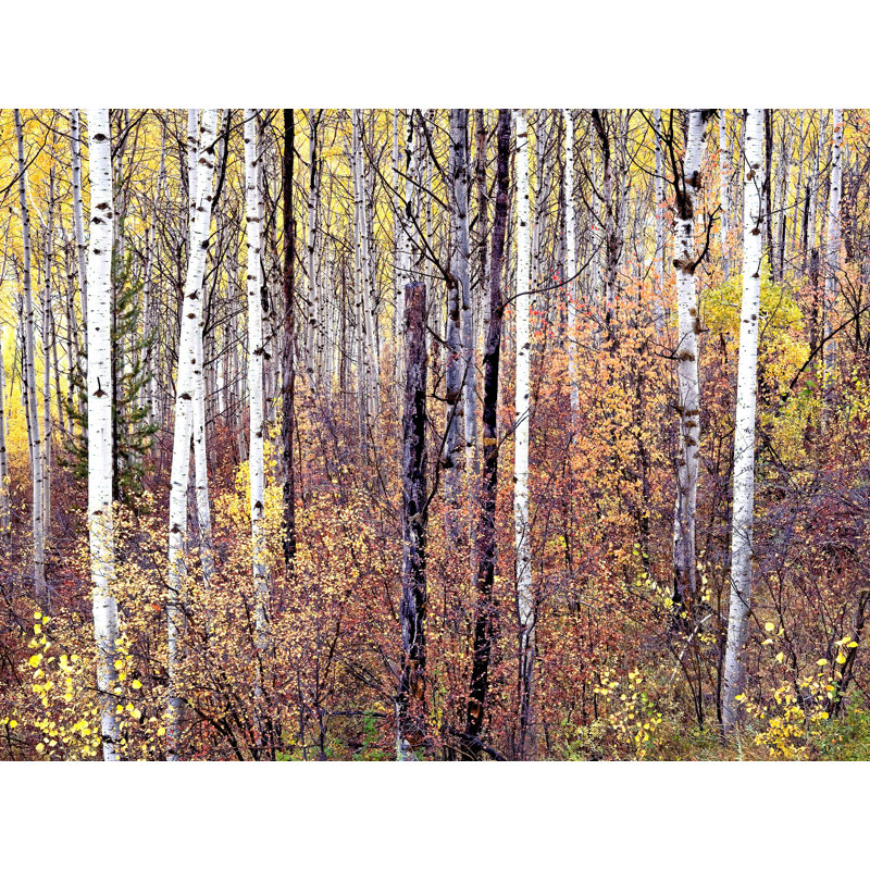 # 2 par Bruce Heinemann - Photographie avec cadre, Toile tendue, Pas de tapis, 18" H x 24" W