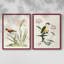 Oiseau dans l'habitat III - reproduction encadrée de qualité supérieure - prête à être accrochée - aucun clou requis - aucun clou requis-375483504-375483506