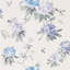 Rhodera Wallpaper-50889143