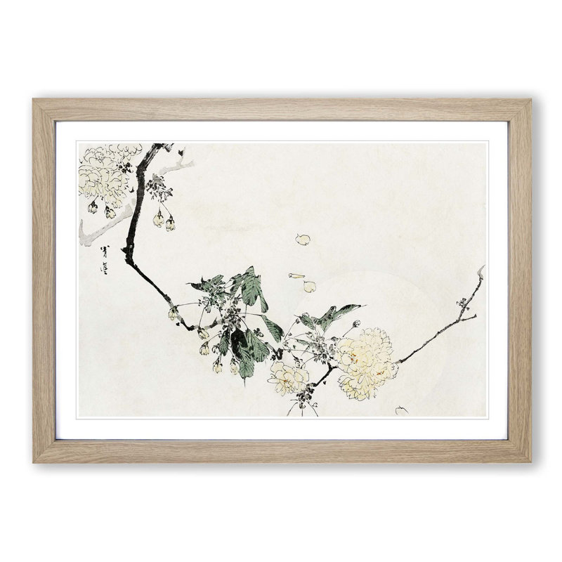 Cherry Blossom by Watanabe Seitei - Picture Frame Art Print, 27cm H x 36cm W x 2cm D, Oak Framed