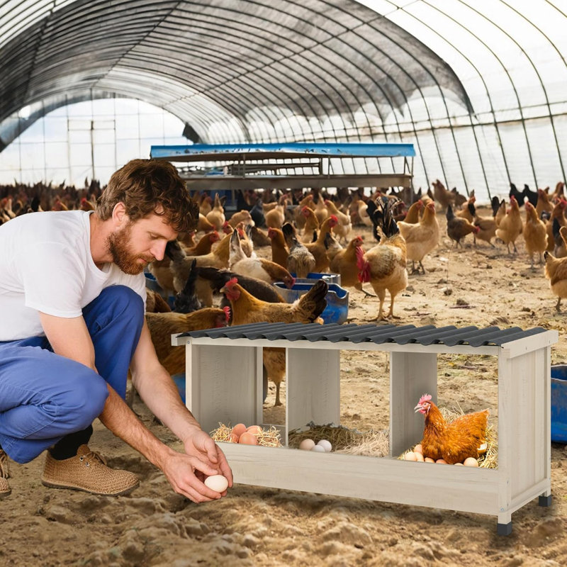 Boîte de nidification en bois 3 trous, poulailler