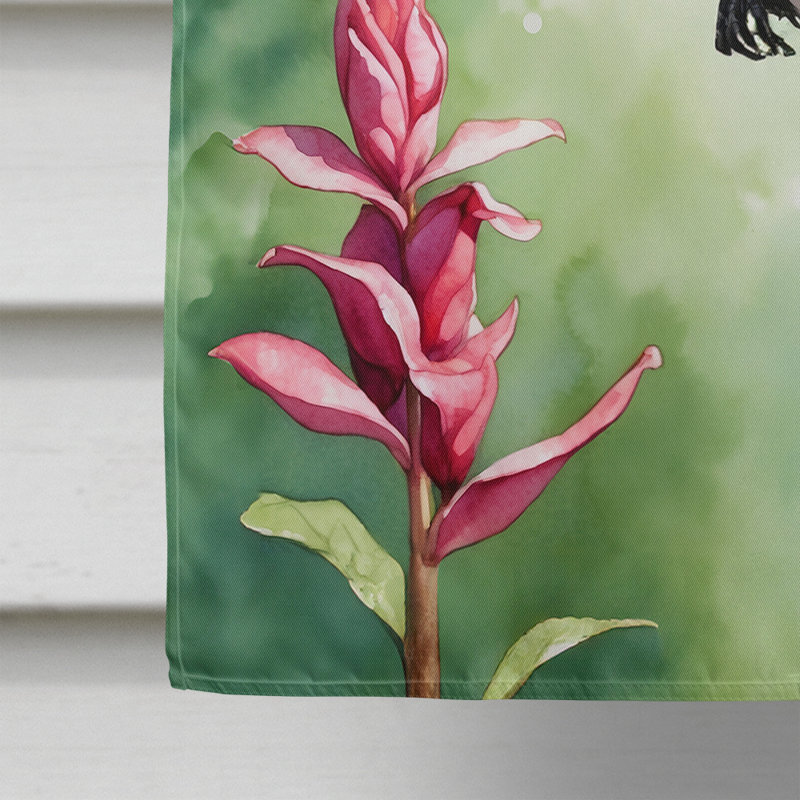 House Flag, Calliope Hummingbird