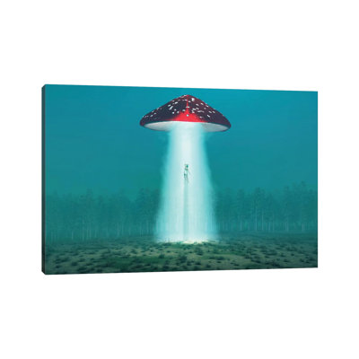 Flying Hallucinogenic Mushroom Kidnaps A Woman At Night II by Mike Kiev - Wrapped Canvas Painting