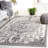 Odyssey Performance Oriental Rug-937749160